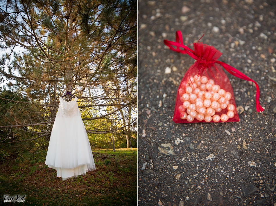 minneapolis_wedding_photographer_4239