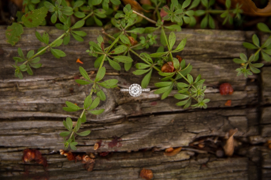 minneapolis_wedding_photographer_9280