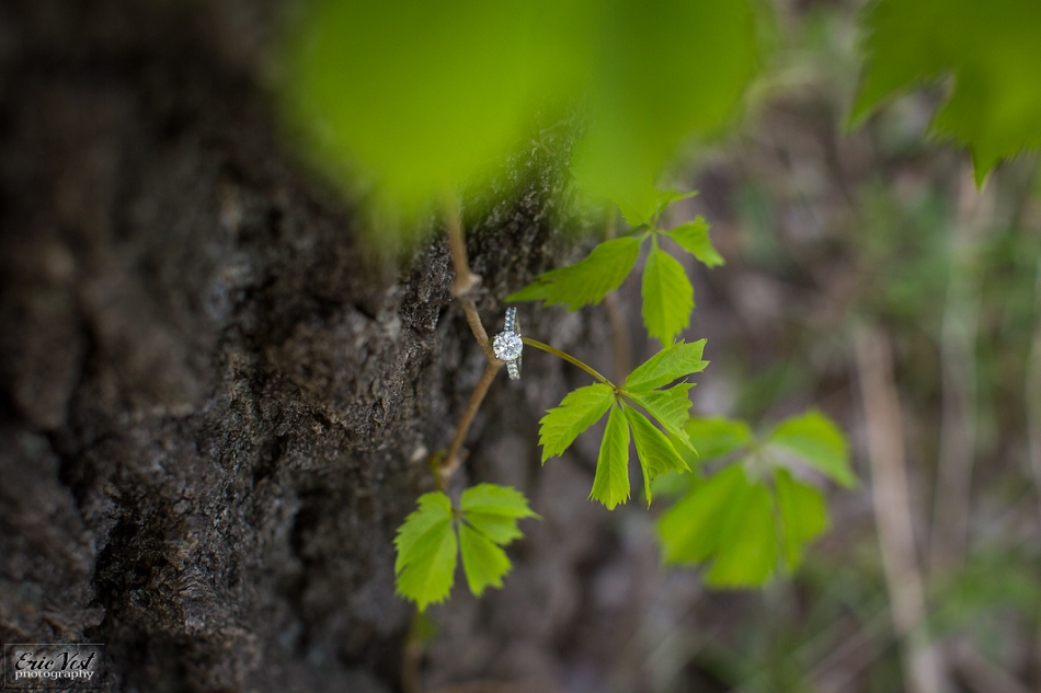 minneapolis_wedding_photographer_0295