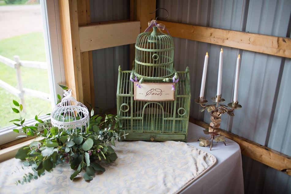 minneapolis_wedding_photographer_7186