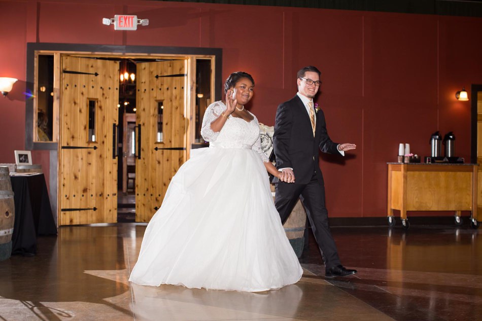 minneapolis_wedding_photographer_8539