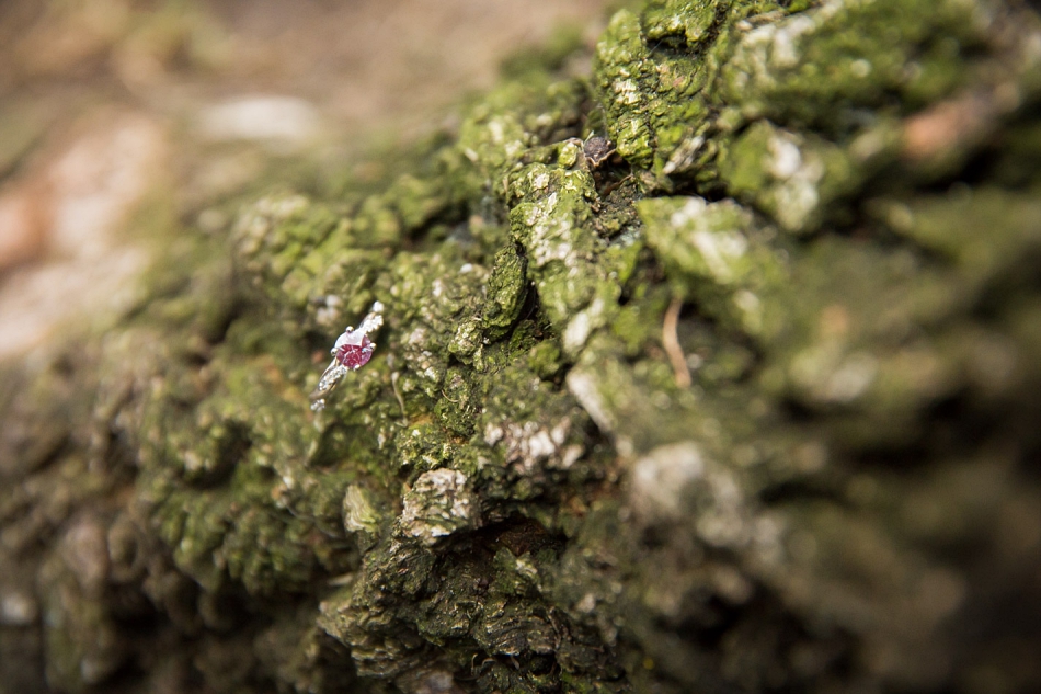 minneapolis_wedding_photography_7423